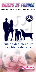 www.chats-de-france.com, l'union des éleveurs de chats de race.