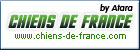 www.chats-de-france.com, l'union des éleveurs de chats de race.