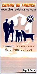 www.chats-de-france.com, l'union des leveurs de chats de race.