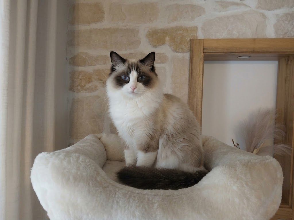 Aimy du domaine toundra