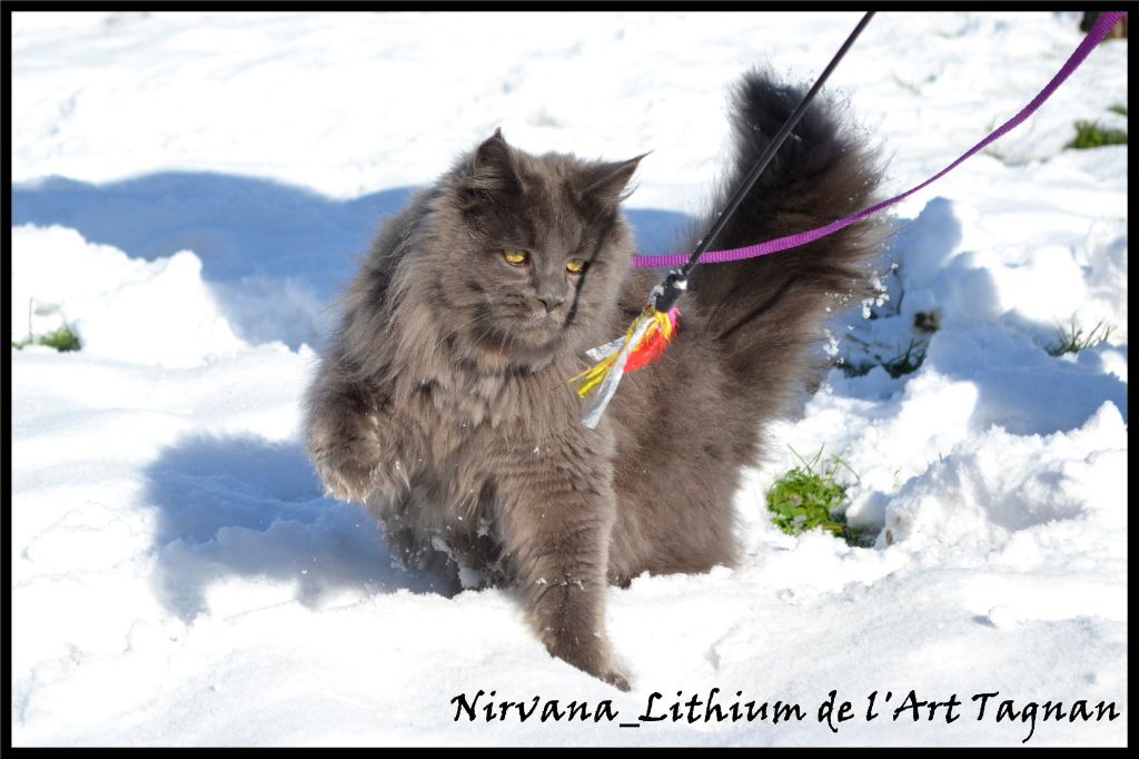 Nirvana. lithium. De L'art Tagnan