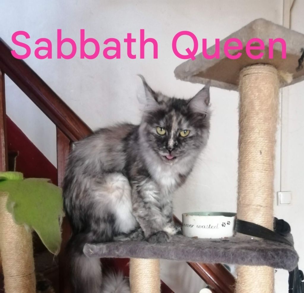 Sabbath queen d' eden blue