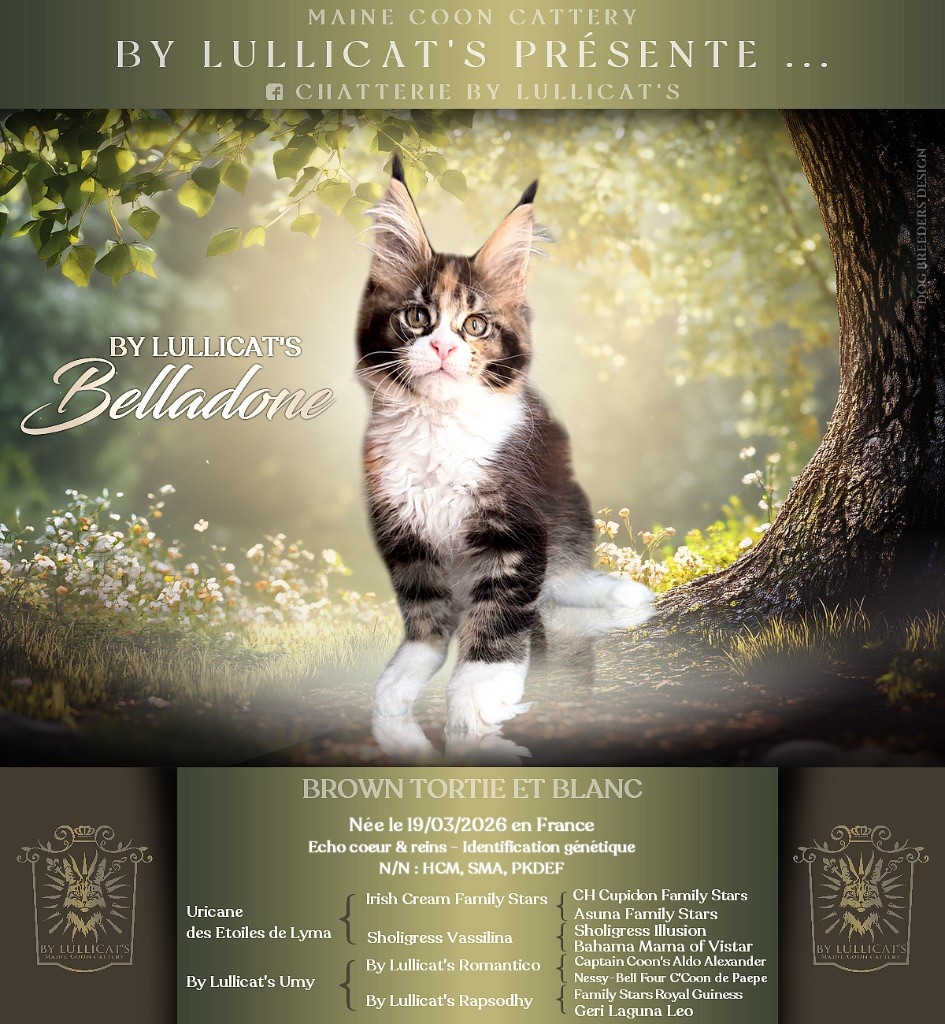 by Lullicat's Belladone