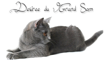 Desiree du Grand Som