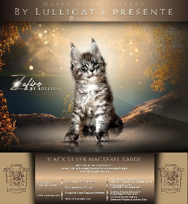 by Lullicat's Zafiro