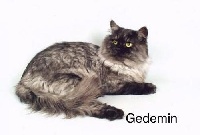 CH. Gedemin valenvic