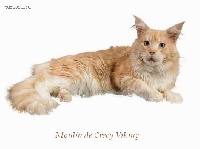 moulin de crecy's Viking