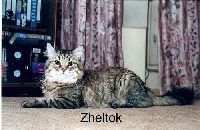 Zheltok onix gloria