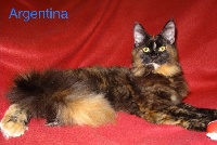 valthasar Argentina pp