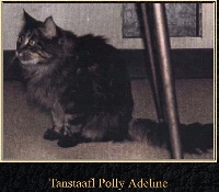 CH. tanstaafl Polly adeline