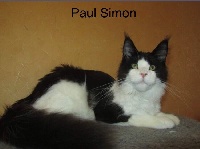 Paul simon emilitacoon lt