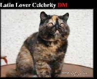 latin lover Celebrity