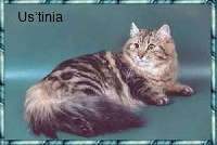 CH. Ustinia volzhskaya krasa