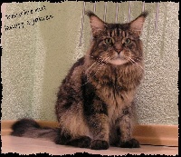 sirrahcoon's Belushie