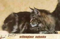 willowplace Naivasha