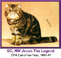 CH. jovan The legend of yquem