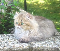 Sunrise de la closerie
