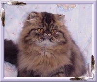 CH. thunderheart's Lola