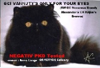 vannjty's Only for your eyes
