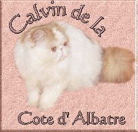 Calvin De La Côte D'albâtre