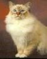 CH. Sixtus of midway