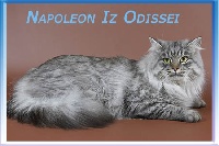 CH. Napoleon iz odissei