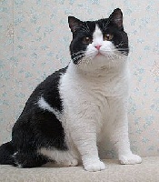 katrin's Wacfeld
