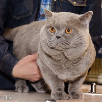 Uliss sovereigh virtue