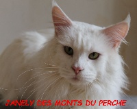 Jaleny Des Monts Du Perche