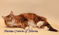 Hanna crown of siberia