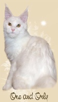 One & only olimpian