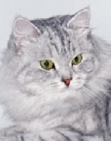 Tuchka simbirzit taurus