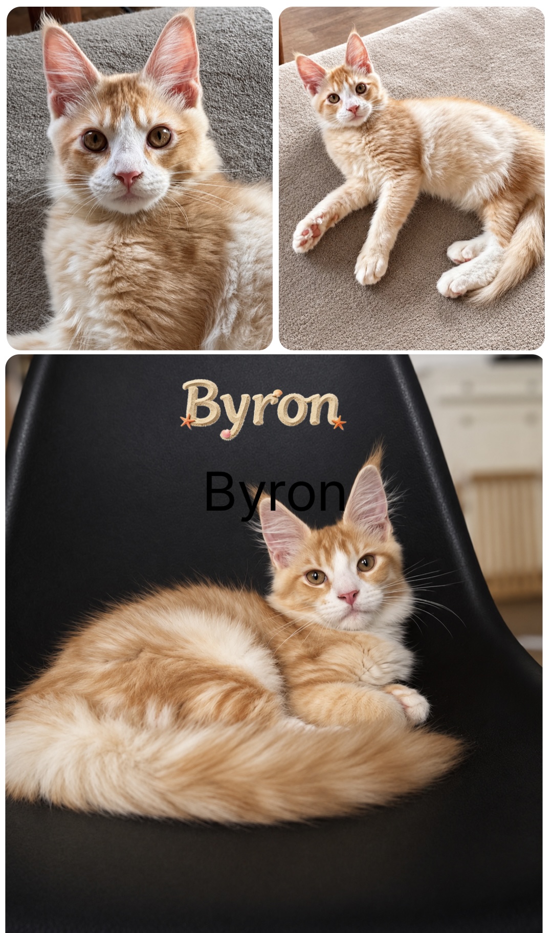 Byron