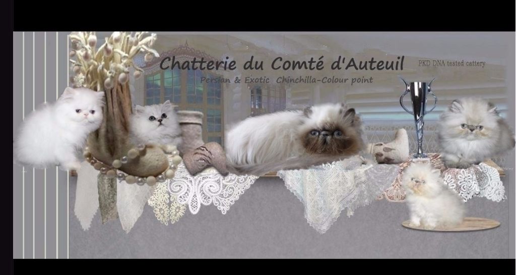 du Comte d'Auteuil - Site web