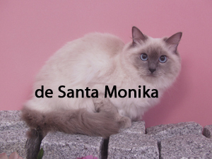 De Santa Monika