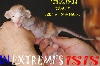In Extremi's - nouveaux bb peterbald