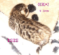 Initials BB alias Isis