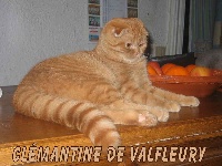 CH. Clémantine De Valfleury