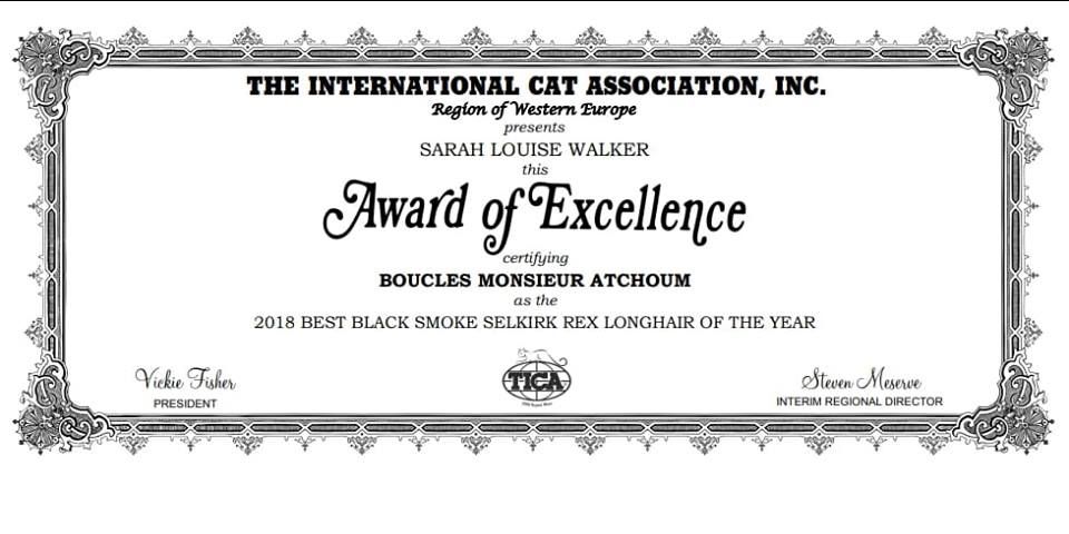 des Furoles d'Ajol - TICA 2018 : Award of Excellence Boucles M. Atchoum