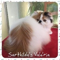 CH. sarthilda’s Valeria