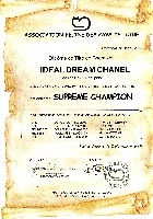 CH. Ideal Dream Chanel