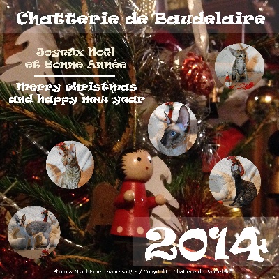 de Baudelaire - Joyeuses Fêtes et Bonne Année 2014 !!!!!