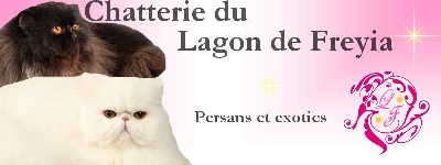 Du Lagon De Freyia - Nouveau site internet !