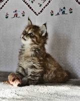Look-Me