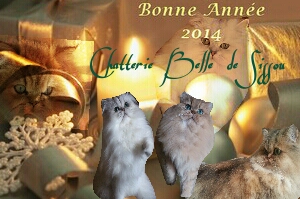 Belle De Sissou - Bonne Annnée 2014 !! 