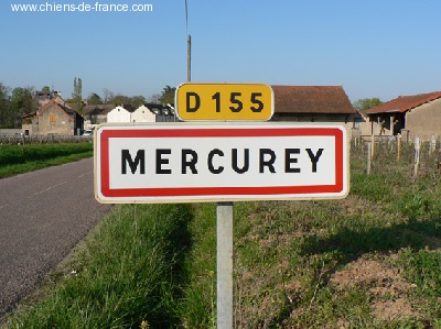 Chatterie de Mercurey
