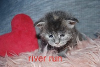 River run