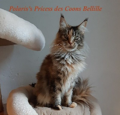 Polaris's princess Des Coons Bellille