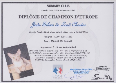 D'Addis Abeba - Jade est Championne d'Europe