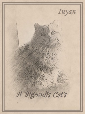 A Bigoudis Cat's